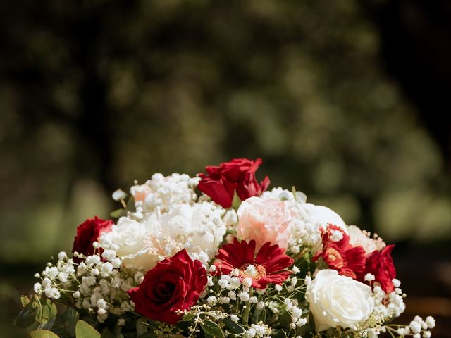 Le mariage de Christopher et Alessia à Sotta, Corse 11