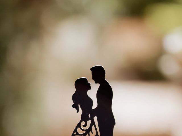 Le mariage de Christopher et Alessia à Sotta, Corse 28