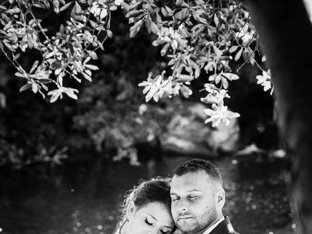 Le mariage de Bastien et Aline  à Gonfaron, Var 11