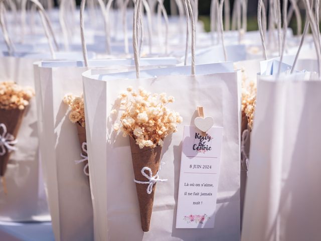 Le mariage de Cédric et Kelly  à Giremoutiers, Seine-et-Marne 19