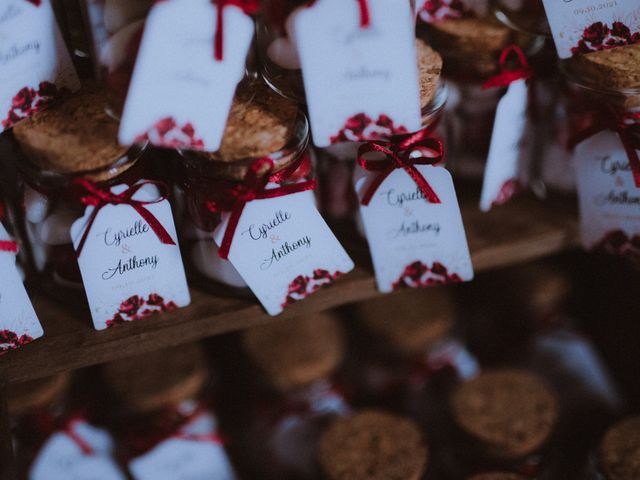 Le mariage de Anthony et Cyrielle à Tullins, Isère 18