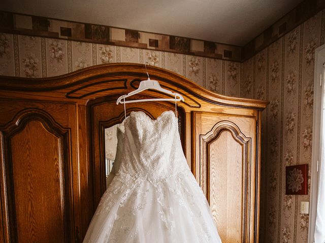 Le mariage de Tony et Amélie à La Chapelle-Saint-Mesmin, Loiret 3