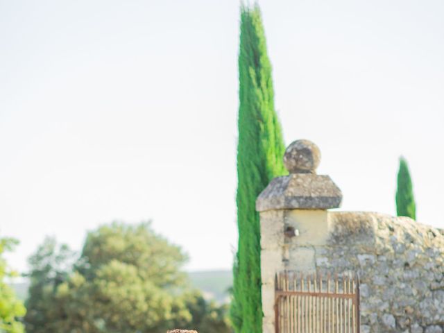 Le mariage de Wiliam et Valerie à Grignan, Drôme 76