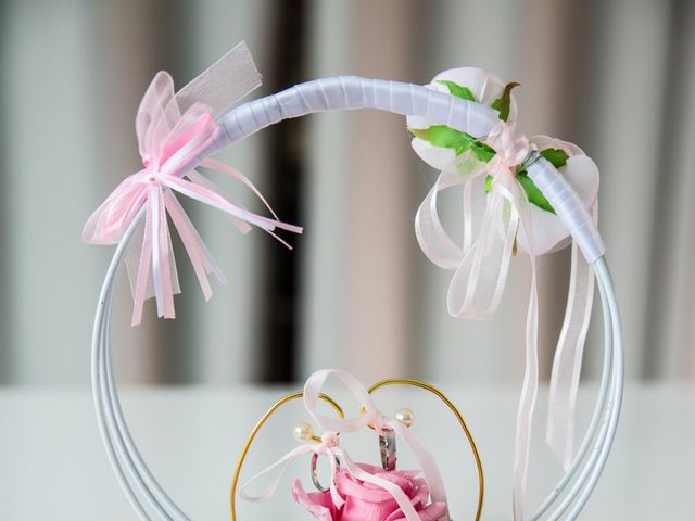 Le mariage de Florent et Coralie  à Pinet, Hérault 9