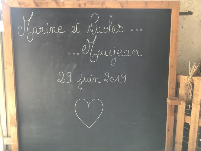 Le mariage de Nicolas et Marine à Velleron, Vaucluse 3