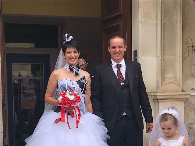 Le mariage de Jean-Christophe  et Jessica à Monteux, Vaucluse 8