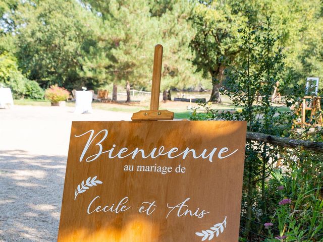 Le mariage de Anis et Cécile à Vallons-de-l&apos;Erdre, Loire Atlantique 46