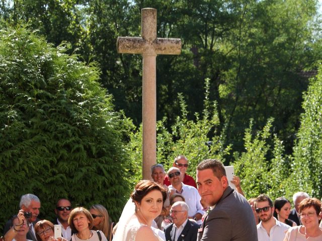 Le mariage de Clément et Lucile à Auvillars-sur-Saône, Côte d&apos;Or 11