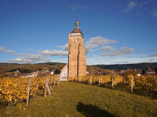 Le mariage de Margaux et Vincent à Arbois, Jura 9