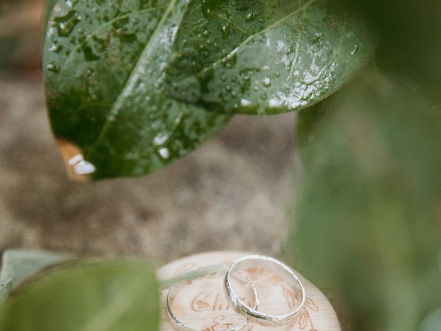 Le mariage de Pascal et Christine à Saint-Georges-d&apos;Orques, Hérault 37