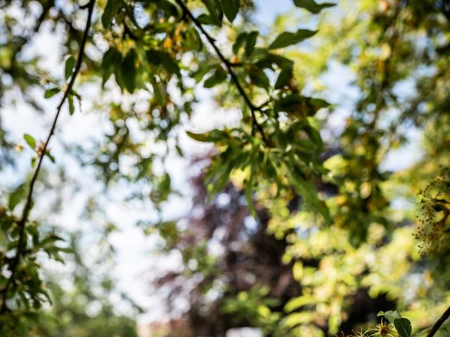 Le mariage de Thomas et Amandine à Rambouillet, Yvelines 15