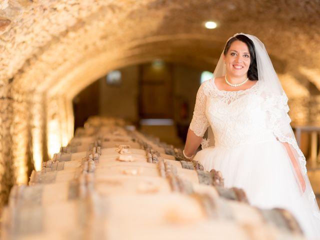 Le mariage de Dominique et Nataliya à La Chapelle-de-Guinchay, Saône et Loire 4