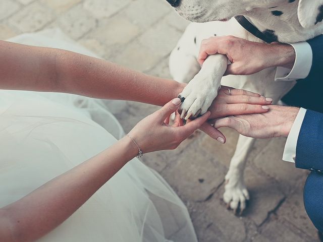 Le mariage de Ulrich et Céline à Ranchicourt, Pas-de-Calais 5