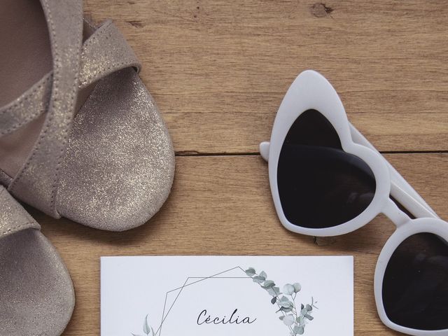Le mariage de Anthony et Cécilia à Chambray-lès-Tours, Indre-et-Loire 6