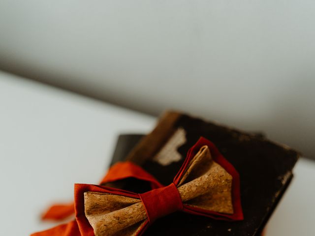 Le mariage de Sylvain et Christine à Lamotte-du-Rhône, Vaucluse 19