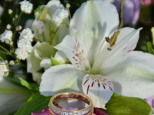 Le mariage de Mark et Alison à Châlette-sur-Loing, Loiret 48