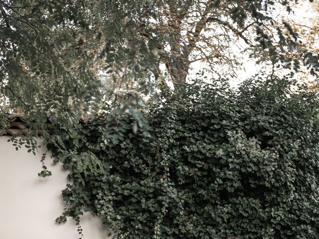 Le mariage de Ludovic et Ana Luisa à Nans-les-Pins, Var 66