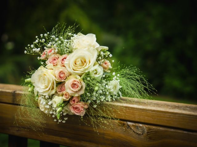 Le mariage de Julie et Jérémie à Malay-le-Grand, Yonne 16