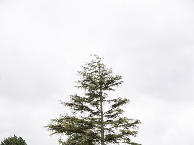 Le mariage de Tanguy et Anne-Laure à Saint-Lô, Manche 4