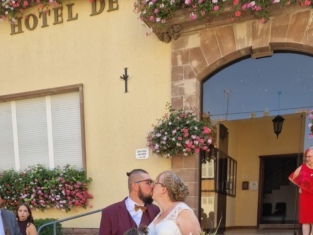 Le mariage de Bauer et Laetitia à Guémar, Haut Rhin 3