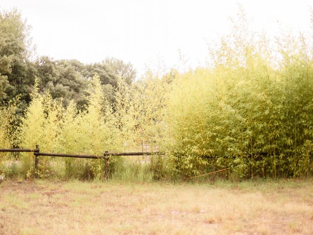 Le mariage de Arthur et Emilie à Baillargues, Hérault 11