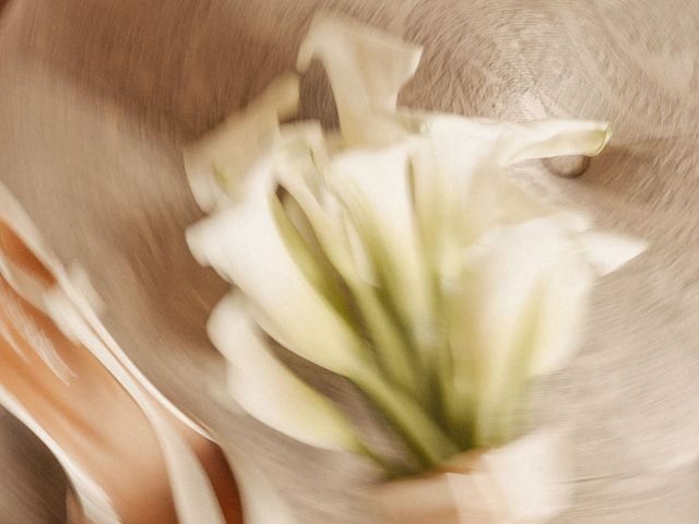 Le mariage de Rafael et Agathe à Aulnoy, Seine-et-Marne 4