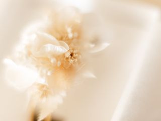 Le mariage de Océane et Pierre 1