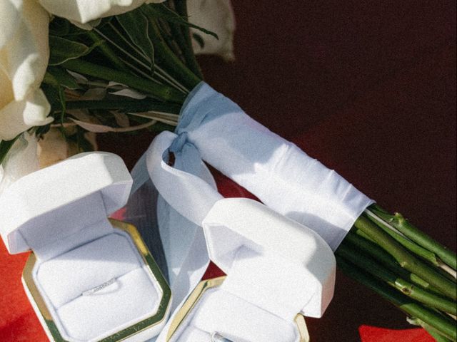 Le mariage de Nicolas et Barbara à Grandris, Rhône 14