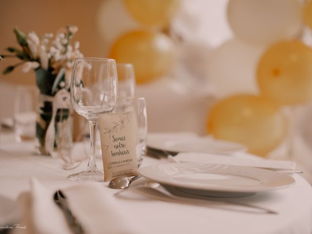 Le mariage de Morgan et Cyrielle à Albon, Drôme 27