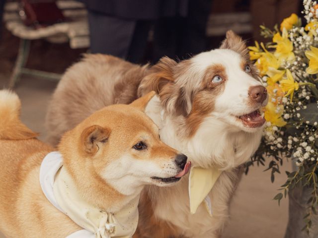 Le mariage de Rémi et Sarah à Essertenne, Saône et Loire 10