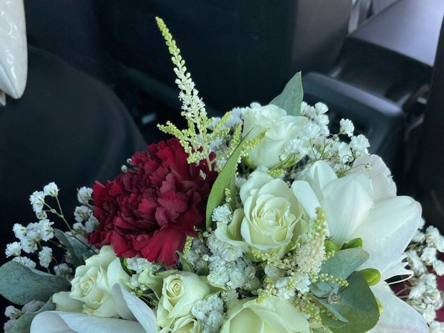 Le mariage de Simoes  et Cindy à Montélier, Drôme 14