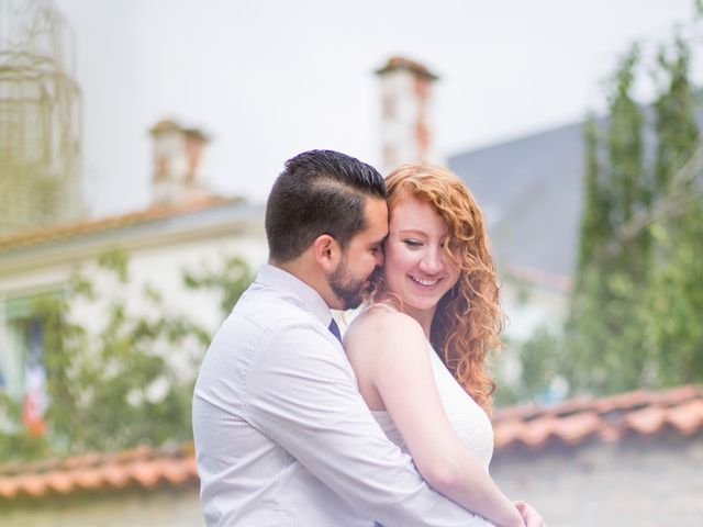 Le mariage de David et Isabel à Marans, Charente Maritime 7