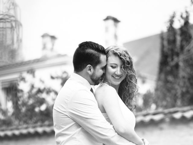 Le mariage de David et Isabel à Marans, Charente Maritime 8