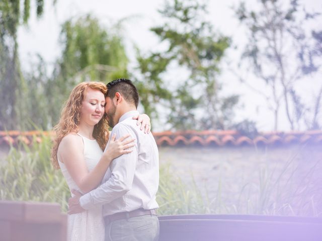 Le mariage de David et Isabel à Marans, Charente Maritime 9