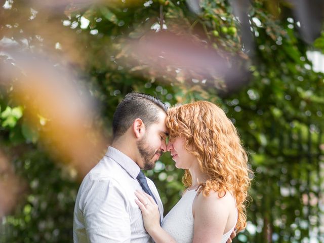 Le mariage de David et Isabel à Marans, Charente Maritime 14