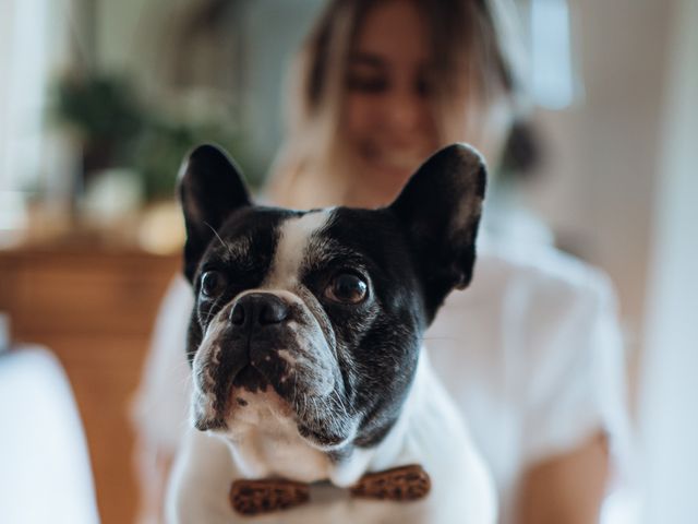 Le mariage de Roch et Agathe à Gouesnou, Finistère 6