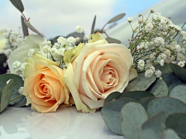 Le mariage de Ulric et Johana à Météren, Nord 9