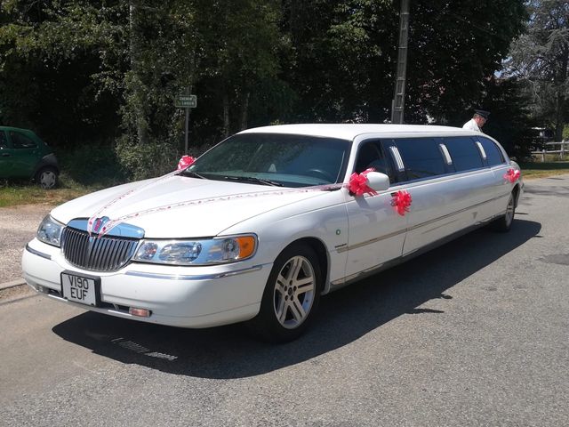 Le mariage de Virgile et Elodie à Saint-Doulchard, Cher 13