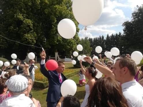 Le mariage de Virgile et Elodie à Saint-Doulchard, Cher 70