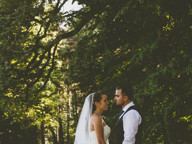 Le mariage de Cédric et Valérie à Gièvres, Loir-et-Cher 23