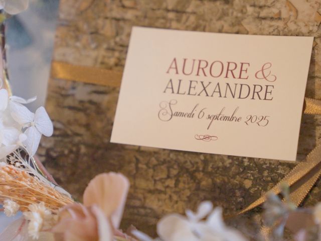 Le mariage de Alexandre et Aurore à Monthey, Valais 15