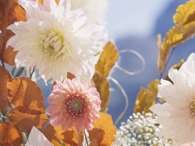 Le mariage de Alexandre et Aurore à Monthey, Valais 20