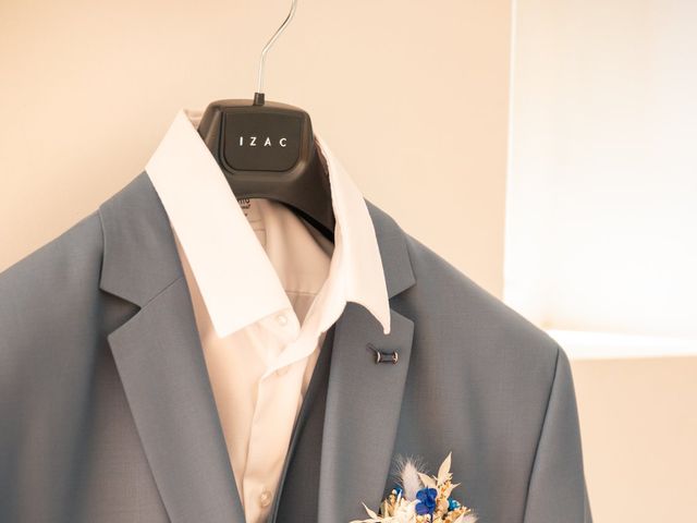 Le mariage de Thomas et Ema à La Ferté-Saint-Aubin, Loiret 11