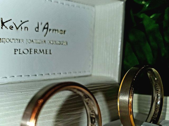 Le mariage de Damien  et Allan à Réguiny, Morbihan 11