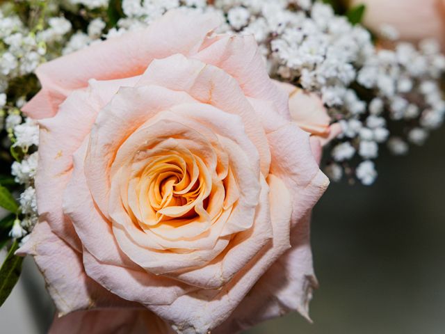 Le mariage de Manitra et Rojo à Chamigny, Seine-et-Marne 69