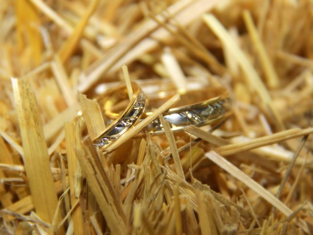 Le mariage de Jean-Claude et Mélanie à Belvezet, Lozère 4