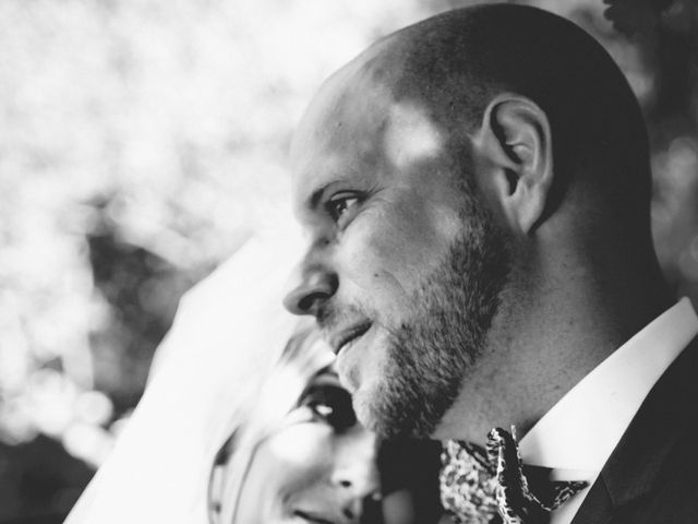 Le mariage de Ludovic et Johanne à Monteux, Vaucluse 20