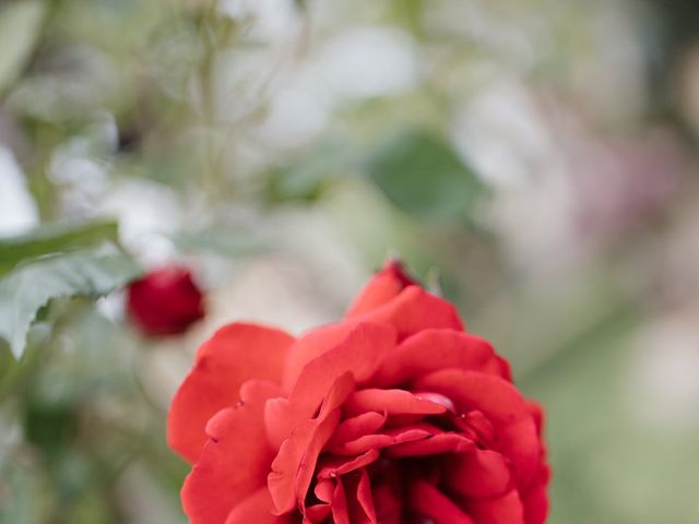 Le mariage de Romain et Anna à Villeneuvette, Hérault 3