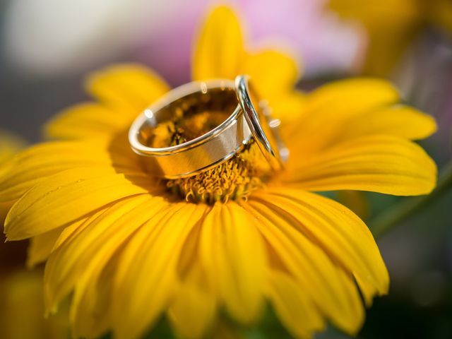 Le mariage de Bruno et Pauline à Buoux, Vaucluse 2