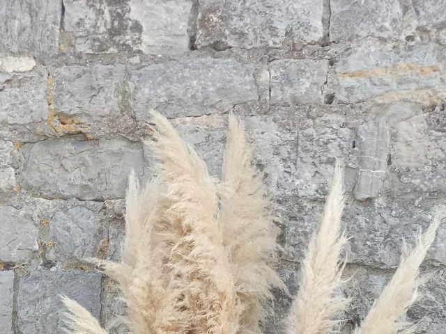 Le mariage de Carole et Wil à Garéoult, Var 9